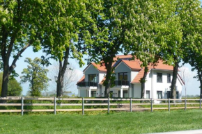  Ferienhaus Bellevue  Фемарн